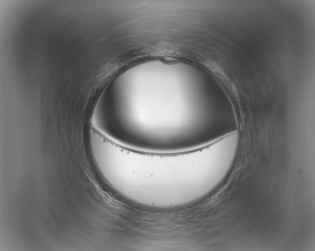 X0000059780201200510210904