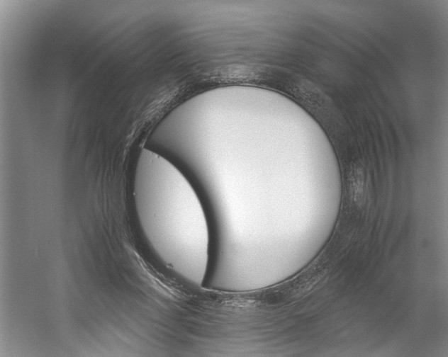 X0000059780206200510210904