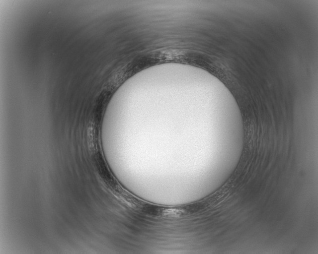 X0000059780222200510210903