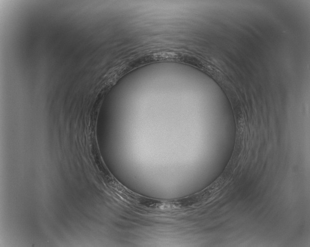 X0000059780223200510210903