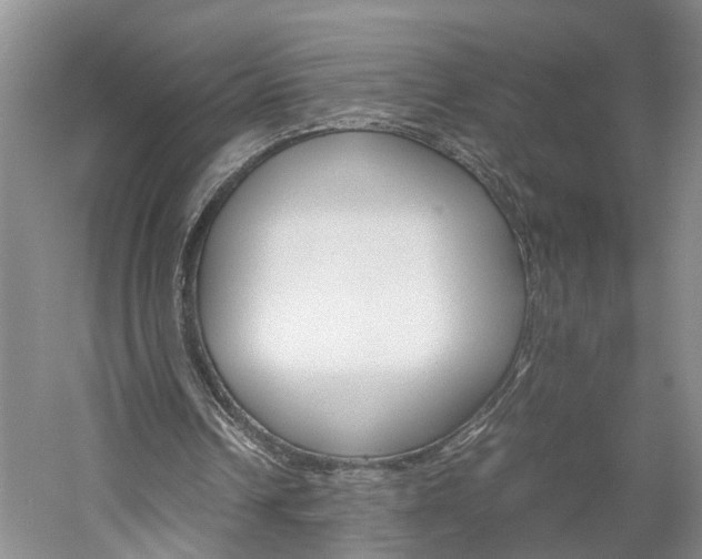 X0000059780242200510210902