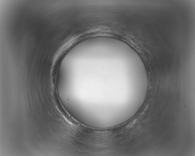 X0000059780245200510210902