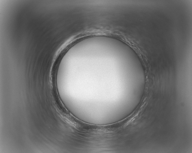 X0000059780246200510210902