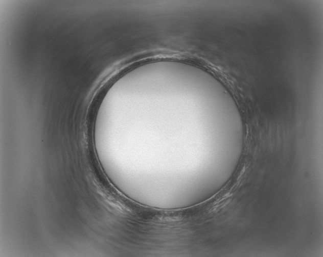 X0000059780247200510210902