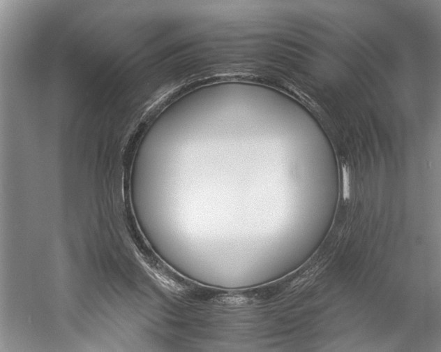 X0000059780253200510210902