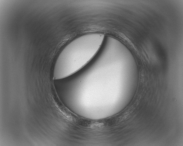 X0000059780257200510210902
