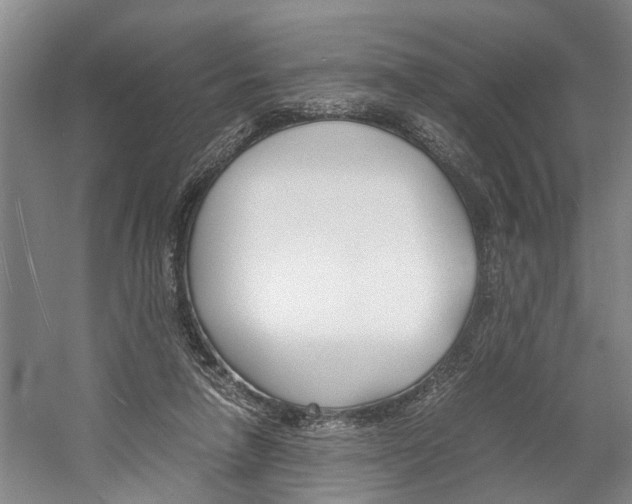 X0000059780258200510210902
