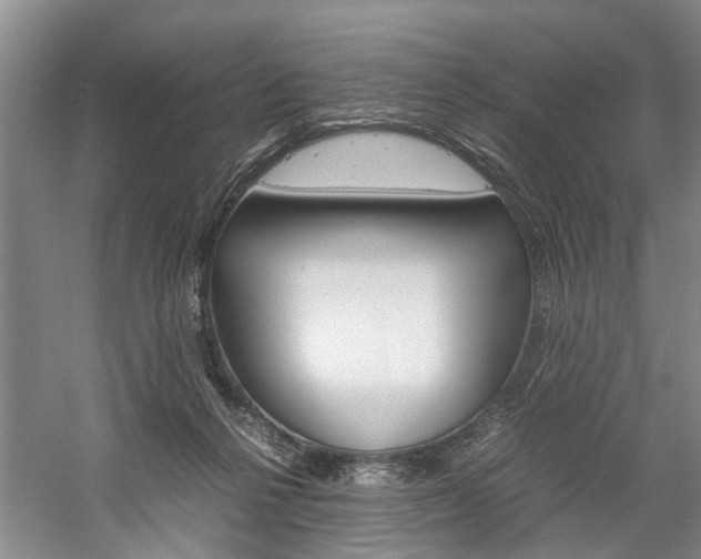 X0000059780264200510210903