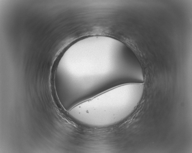 X0000059780292200510210902