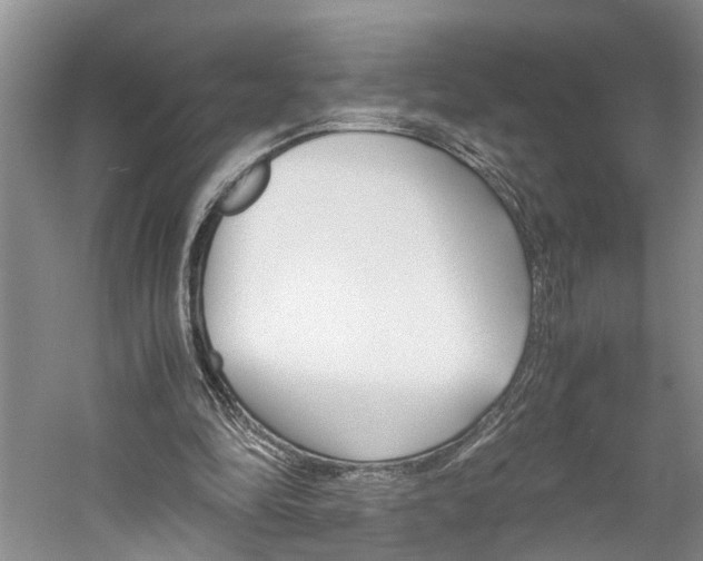 X0000059780294200510210902