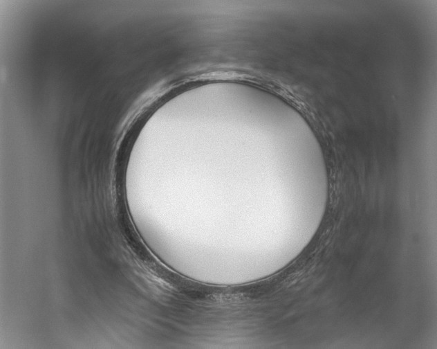 X0000059780296200510210902