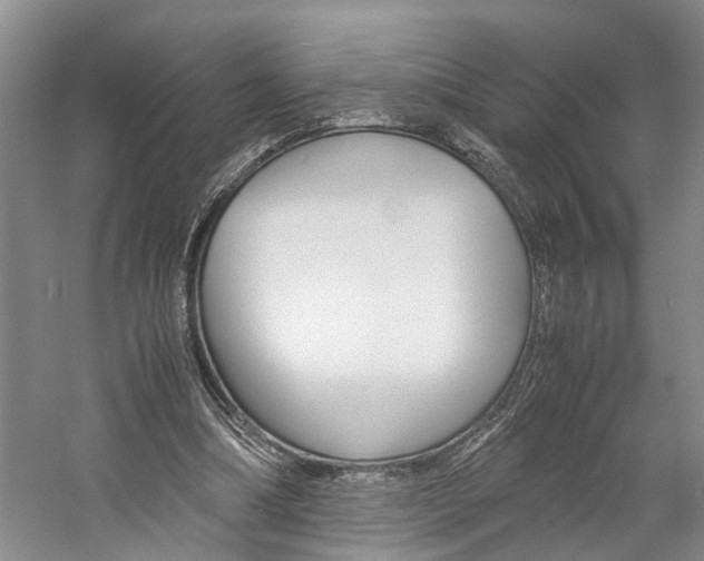 X0000059780298200510210902