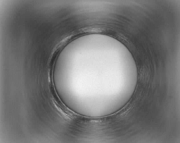 X0000059780302200510210902