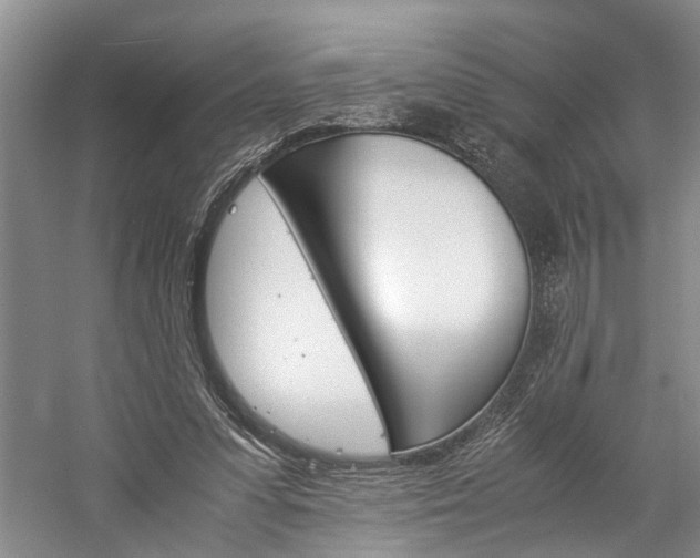 X0000059780303200510210902