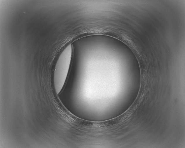 X0000059780305200510210902
