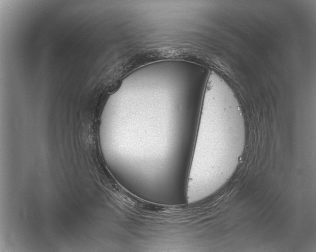 X0000059780317200510210902