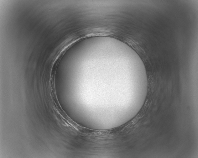 X0000059780338200510210901
