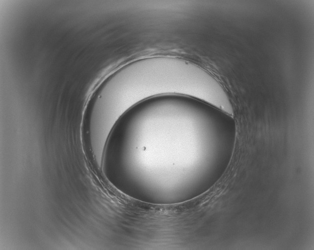 X0000059780340200510210901