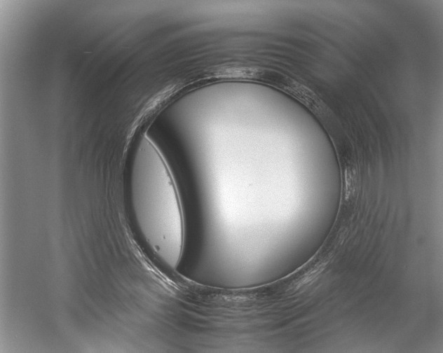X0000059780349200510210901