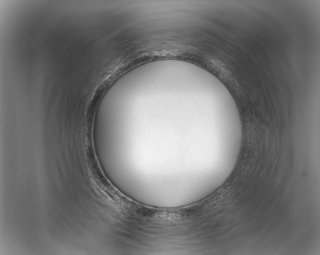 X0000059780354200510210901