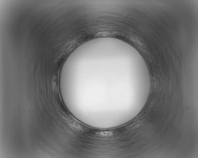 X0000059780361200510210901