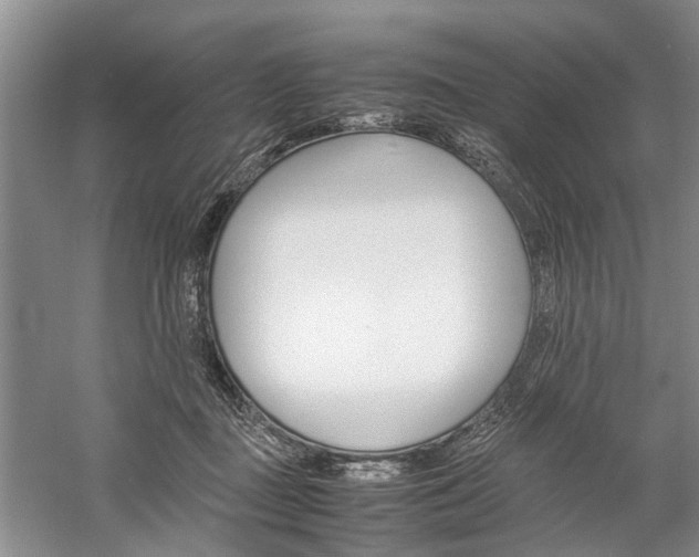 X0000059780363200510210901