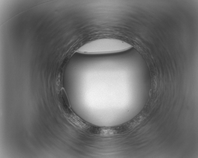 X0000059780376200510210901
