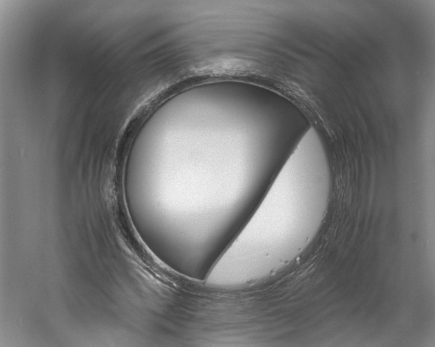 X0000059780392200510210900