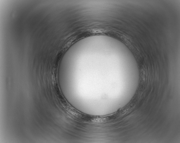 X0000059780422200510210900