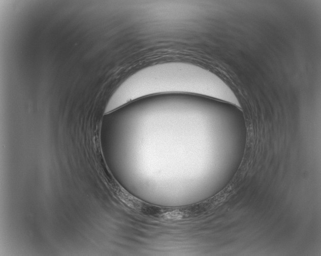 X0000059780423200510210900