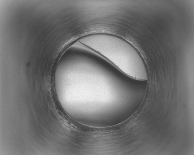 X0000059780434200510210859