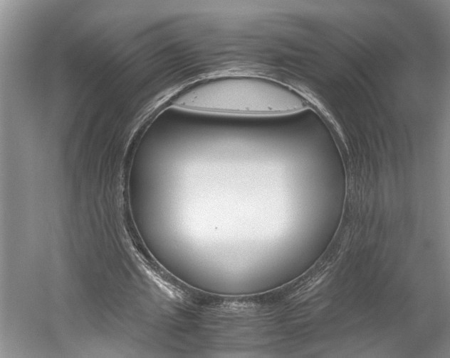 X0000059780437200510210859