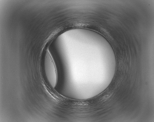 X0000059780443200510210859