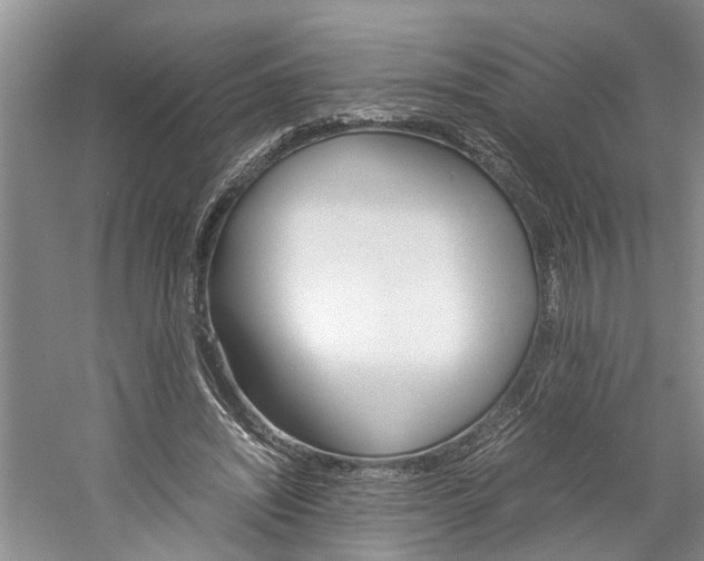 X0000059780444200510210859