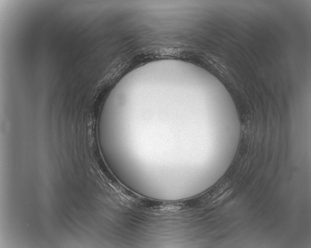 X0000059780462200510210859