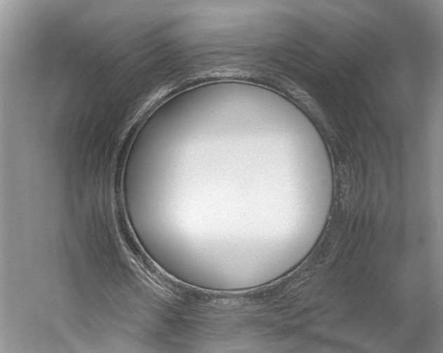 X0000059780482200510210859