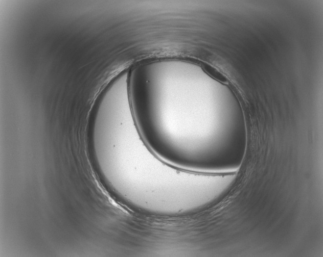 X0000059780485200510210859