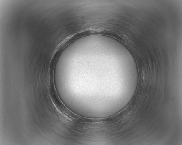 X0000059780492200510210859