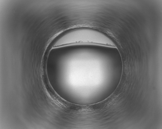 X0000059780536200510210857