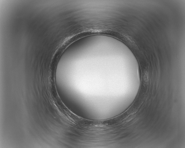 X0000059780540200510210858