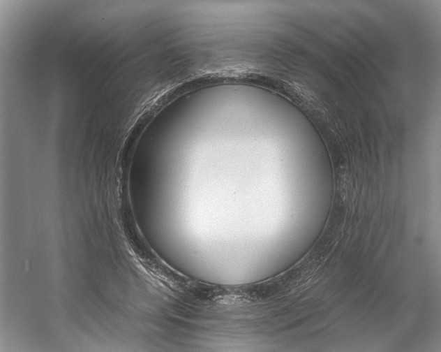 X0000059780544200510210858