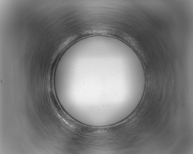 X0000059780578200510210857