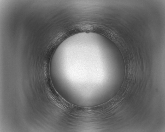 X0000059780600200510210857