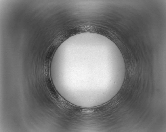 X0000059780602200510210857