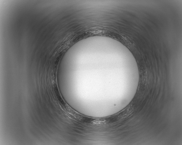 X0000059780606200510210857