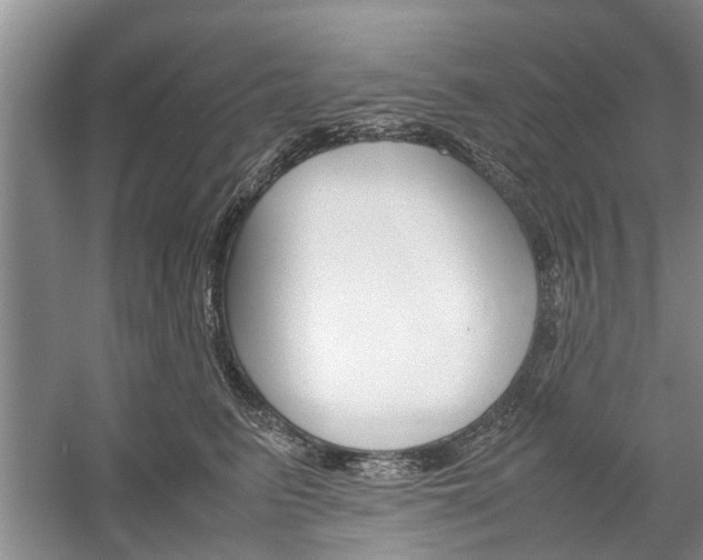 X0000059780615200510210857