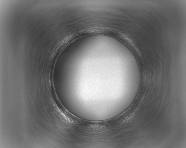 X0000059780633200510210856