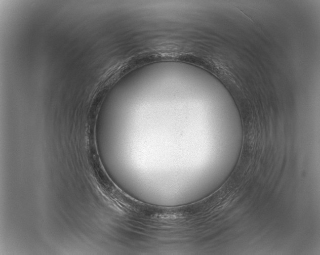 X0000059780639200510210856
