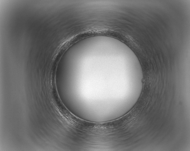 X0000059780640200510210856