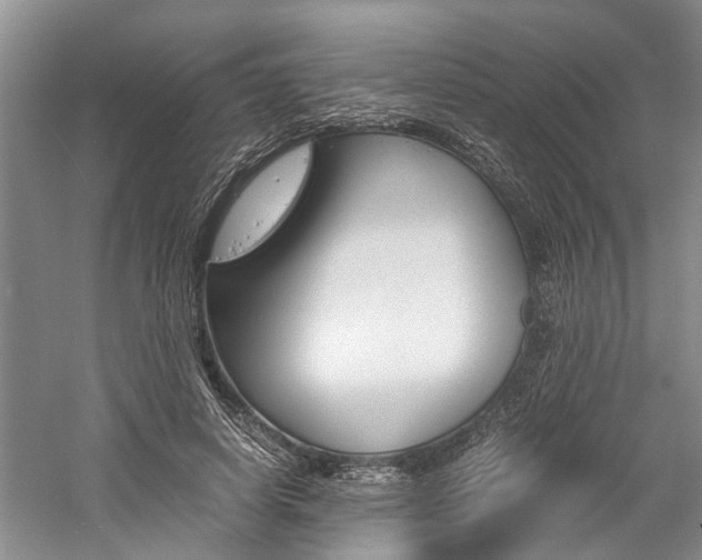 X0000059780642200510210856